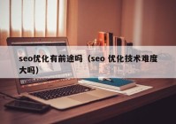 seo优化有前途吗（seo 优化技术难度大吗）